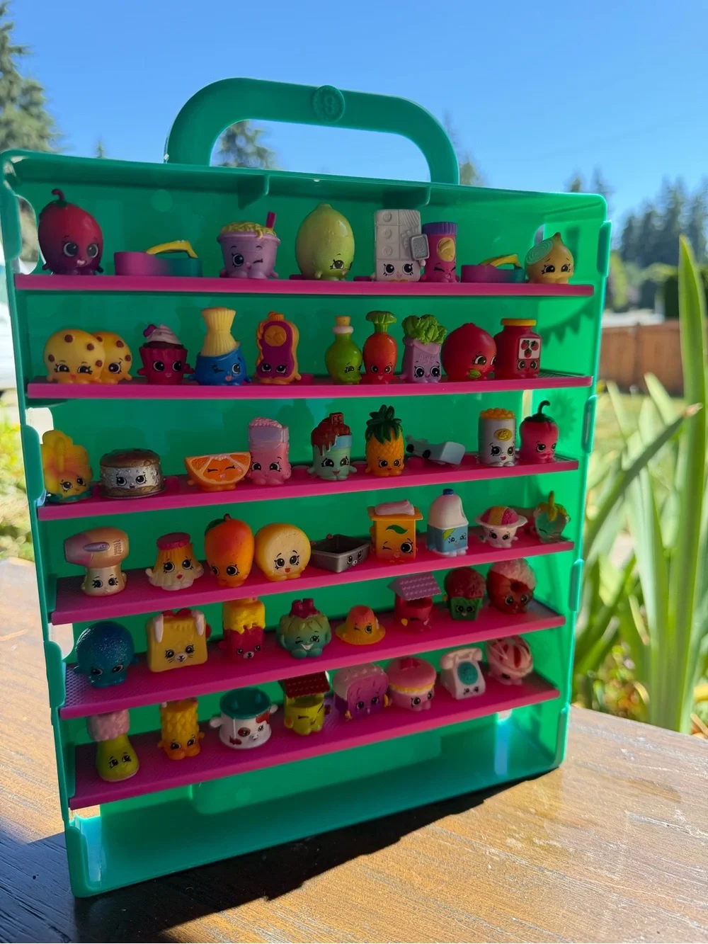 Shopkins Green Carry Case with Pink Shelves - Collectible Display 53 toys